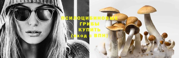 мескалин Каменногорск